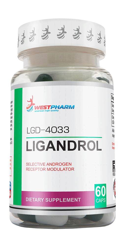  Заказать Ligandrol (LGD-4033) (60 капс/10мг) (WestPharm) - цена  руб.